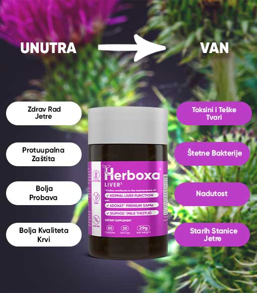 HERBOXA® LIVER